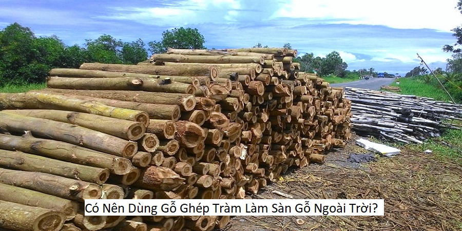 Có Nên Dùng Gỗ Ghép Tràm Làm Sàn Gỗ Ngoài Trời?