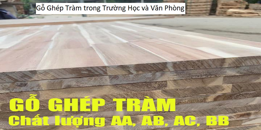 Gỗ Ghép Tràm trong Trường Học và Văn Phòng