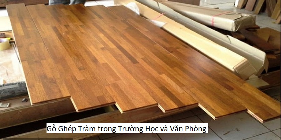 Gỗ Ghép Tràm trong Trường Học và Văn Phòng